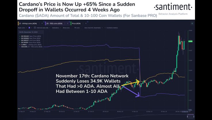 cardano accumulation phase