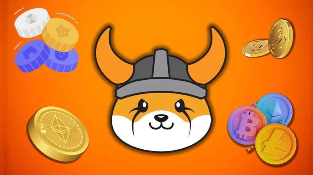 Floki coin resistance and ecosystem upgrade