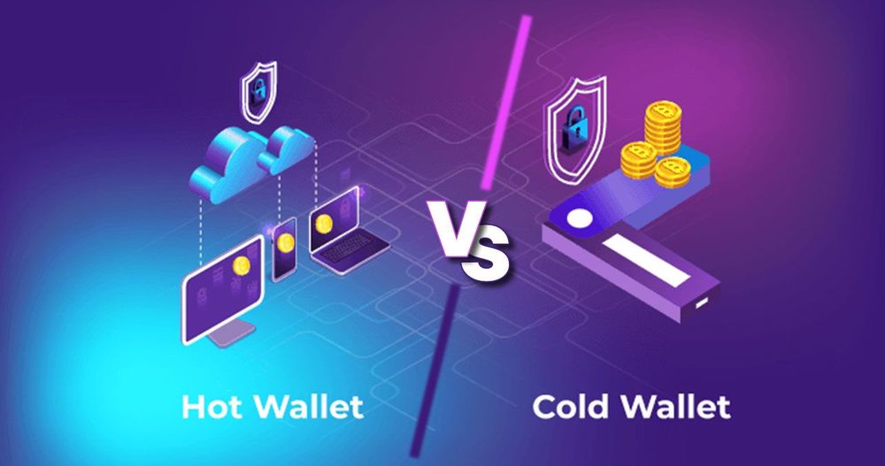 Hot wallet vs cold wallet comparison explaining crypto storage, private keys, security, benefits and risks for crypto investors.
