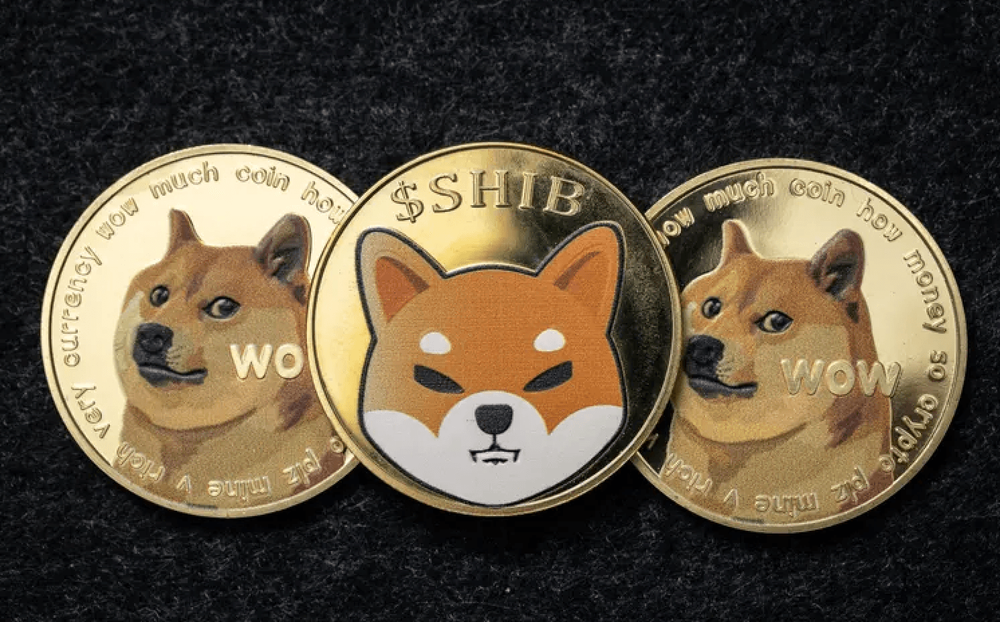 Shiba Inu price growth and utility in 2025