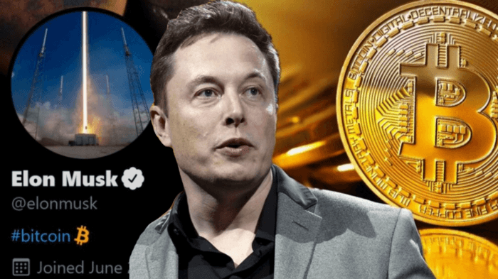 musk_01.png