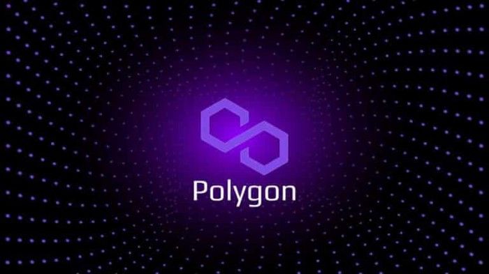 polygon_01.jpeg